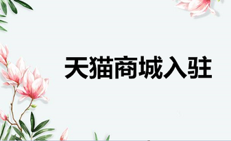 天猫商城入驻