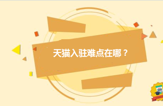 天猫入驻